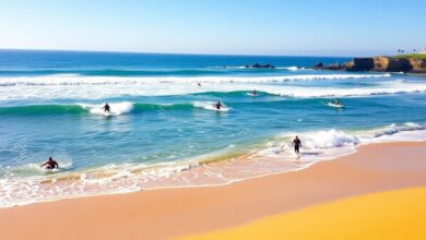 Tourmaline Surfing Park: A Surfer’s Paradise in La Jolla