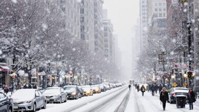 Preparing for the Next Winter Storm in Chicago: Tips and Insights for Residents