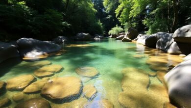 Discover the Hidden Gems: The Ultimate Guide to Oregon Swimming Holes