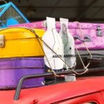 The Best Wine Bottle Travel Bags for Airplane Check-in: What to Look For