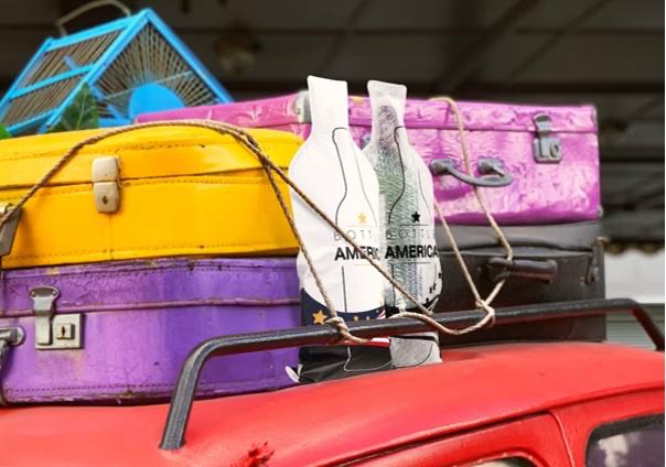 The Best Wine Bottle Travel Bags for Airplane Check-in: What to Look For The Best Wine Bottle Travel Bags for Airplane Check-in: What to Look For