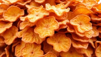 Top Bulk Ordering Konjac Chips Suppliers for Your Business Needs