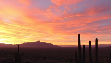 Experience Breathtaking Sunsets at Windy Point Vista, Tucson