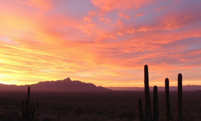 Experience Breathtaking Sunsets at Windy Point Vista, Tucson Experience Breathtaking Sunsets at Windy Point Vista, Tucson